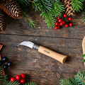 Opinel No.7 Chestnut & Garlic Knife