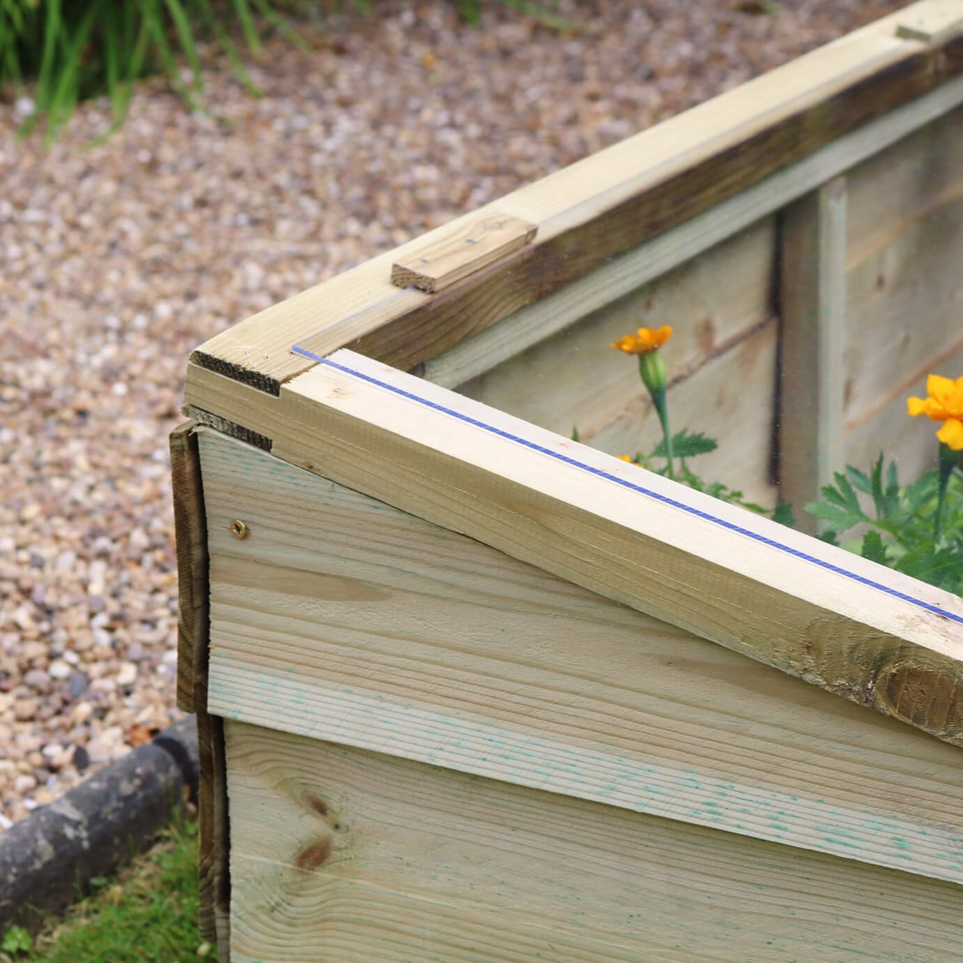 Pressure Treated Timber Large Cold Frame