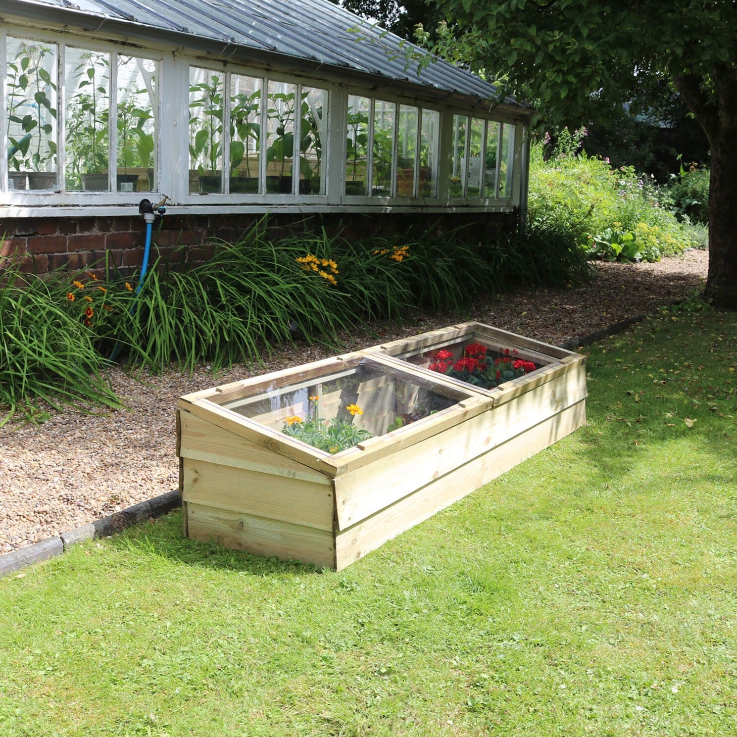 Pressure Treated Timber Large Cold Frame