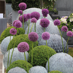 Galvanised Steel Leaf Balls (10191400206529)