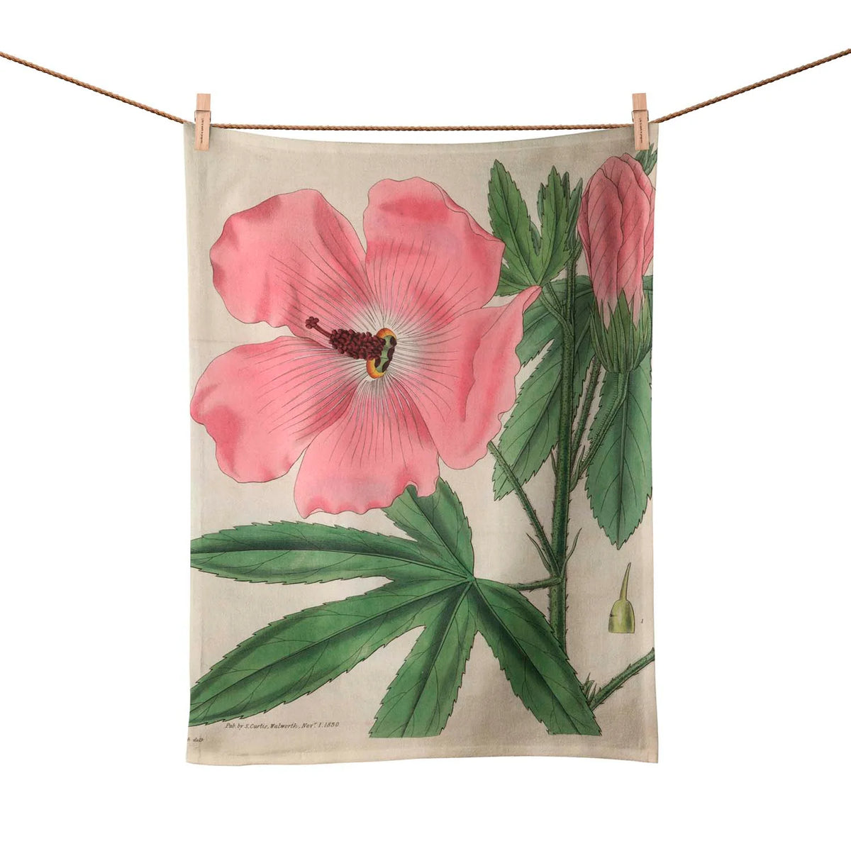 Handmade Cotton Tea Towel Botanical Collection