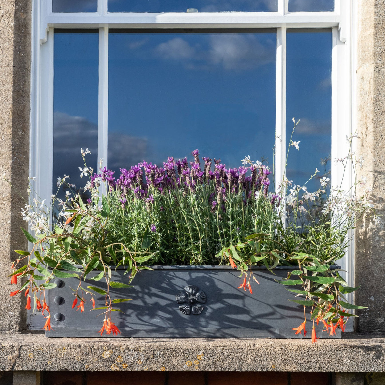 Traditional Galvanised Steel Window Box Planter – Urban Grow UK Ltd
