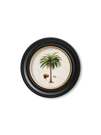 South American Palm Trees c.1843 Round Framed Prints (7702940713153)