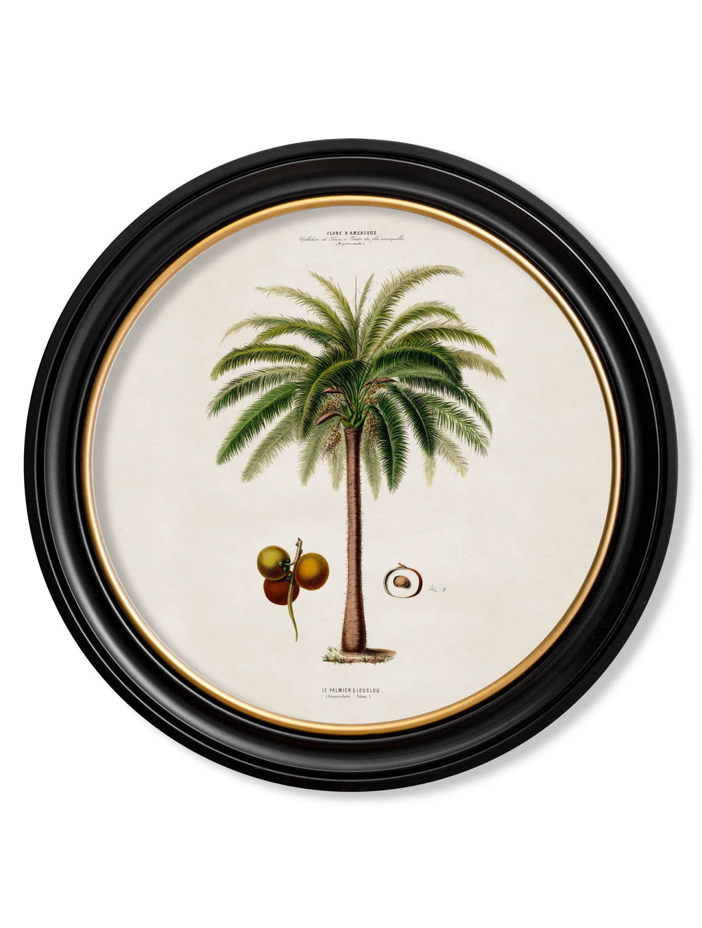 South American Palm Trees c.1843 Round Framed Prints (7702940713153)
