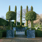 Mayfair Galvanised Steel Planter (10174939758785)