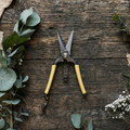 Niwaki GR Pro Garden Snips