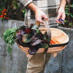 Traditional Sussex Oval Trug