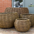 Set Of Four Woven Willow Round Planters (15065098715521)