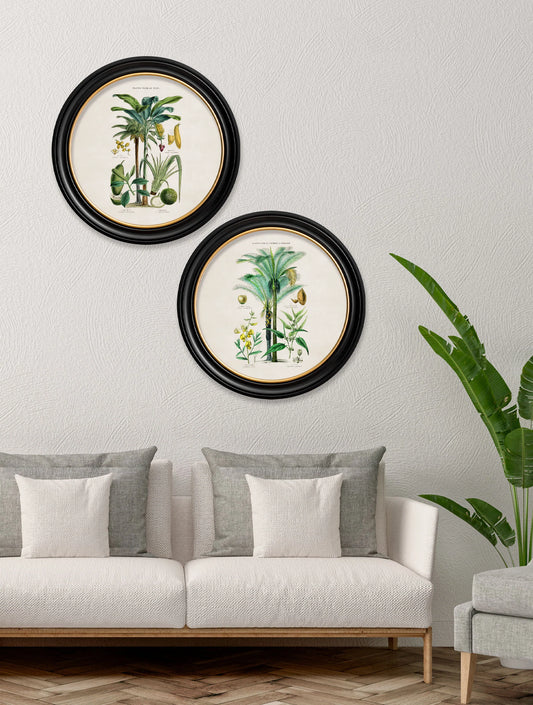 Tropical Plants Used as Food and Clothing c.1877 Round Framed Prints (7702937403585)