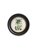 Tropical Plants Used as Food and Clothing c.1877 Round Framed Prints (7702937403585)