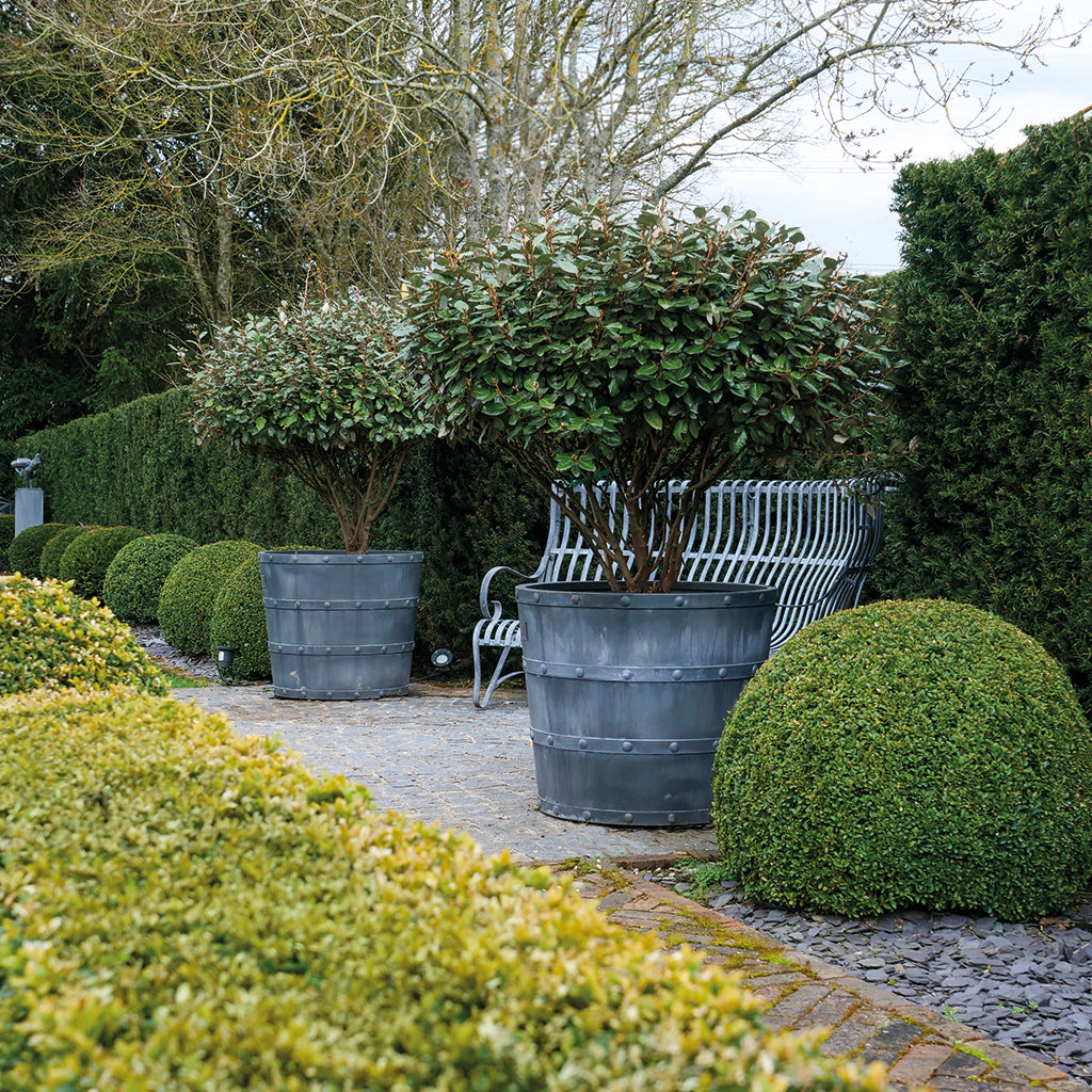 Porto Galvanised Steel Planter (10175227756737)