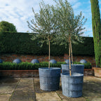 Porto Galvanised Steel Planter (10175227756737)