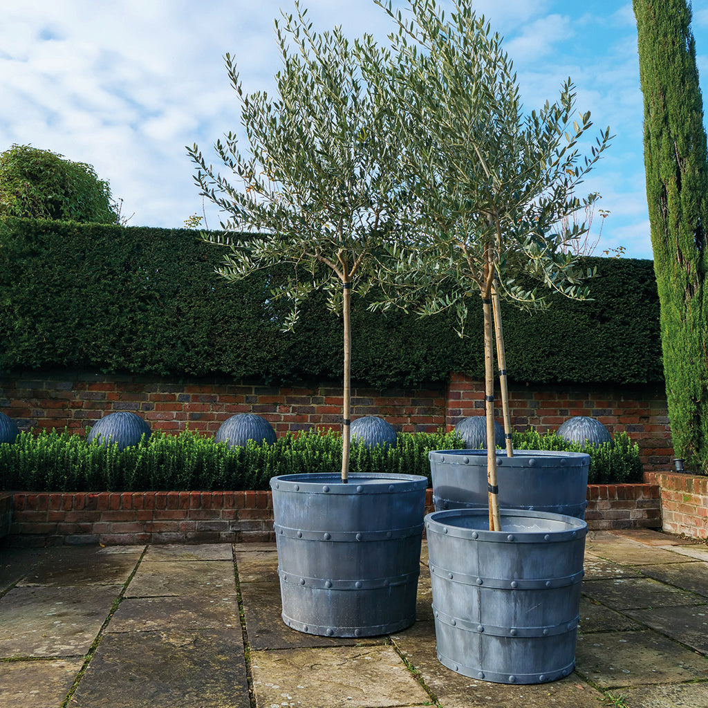 Porto Galvanised Steel Planter (10175227756737)