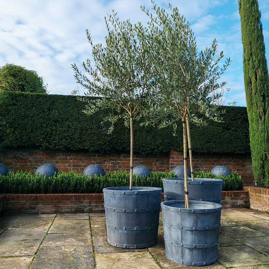 Porto Galvanised Steel Planter