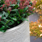 Kivo Stonecore Planter