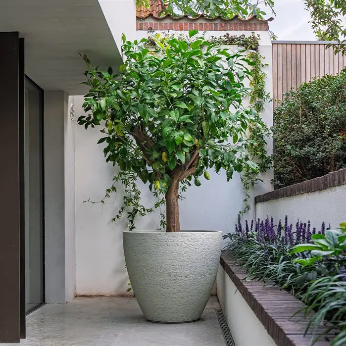 Liv Stonecore Planter