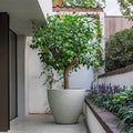 Liv Stonecore Planter
