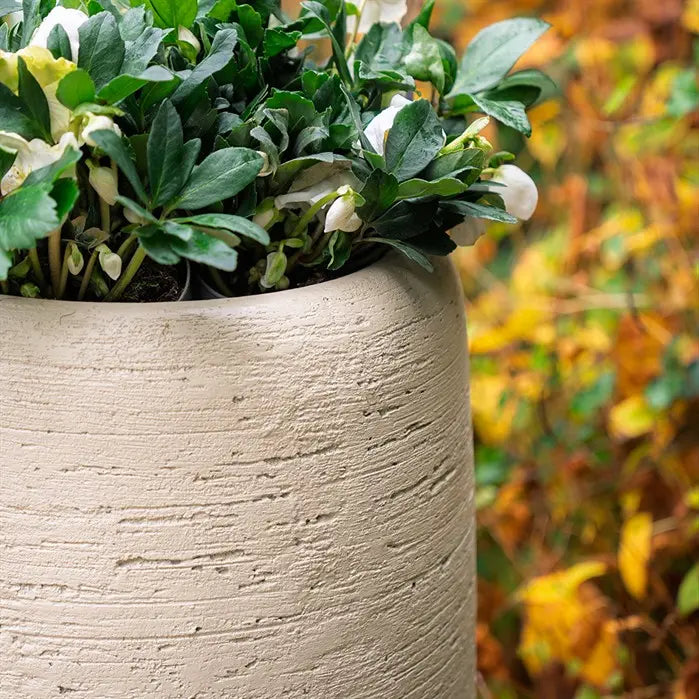 Moya Stonecore Planter