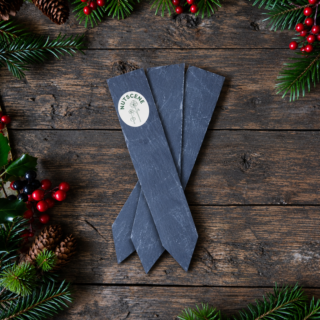 Slate Hanging Plant Labels