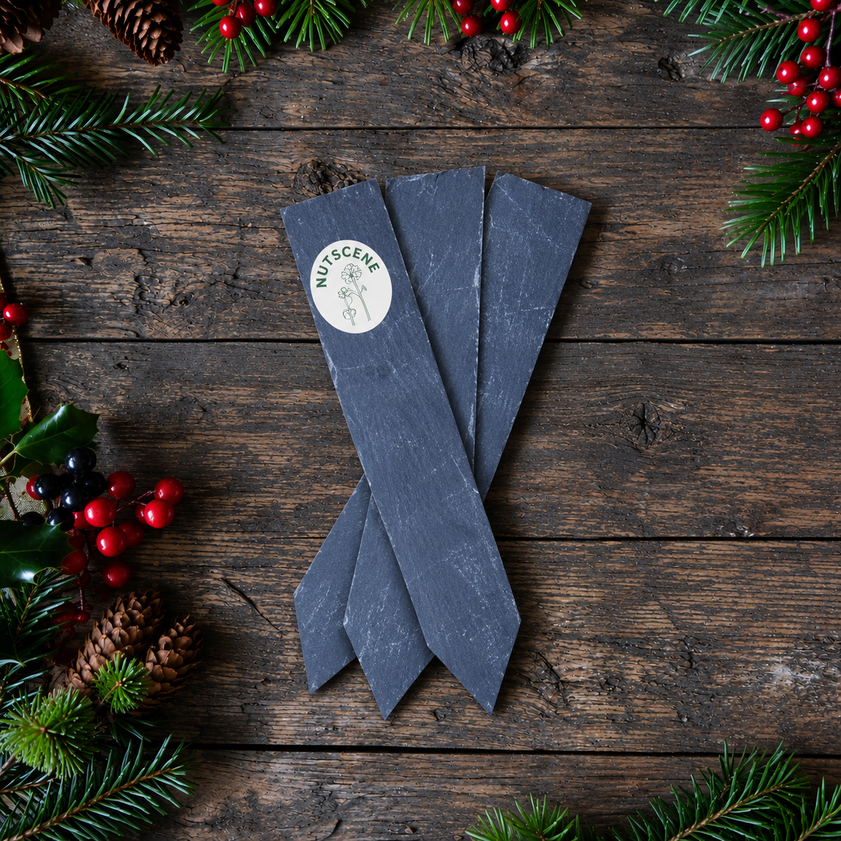 Slate Hanging Plant Labels