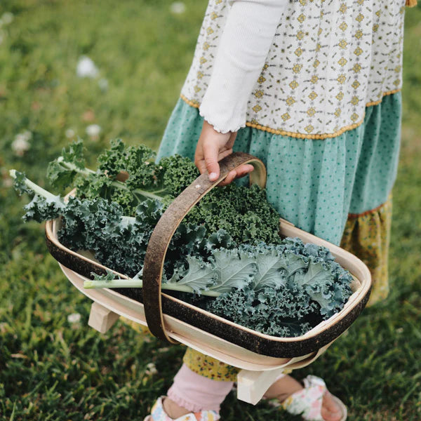 Traditional Sussex Garden Trug