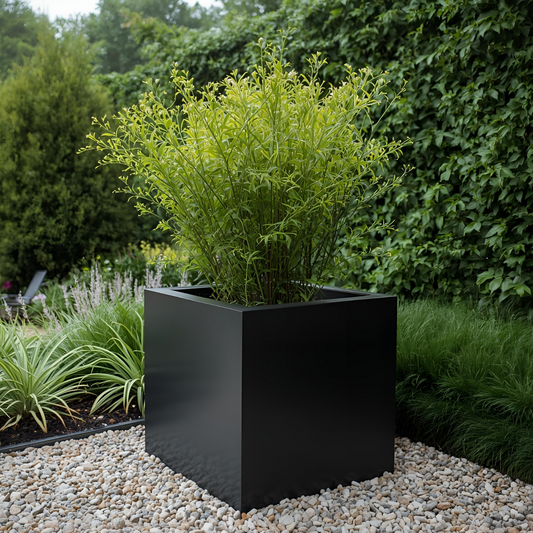 Nappa Powder Coated Steel Cube Box Planter