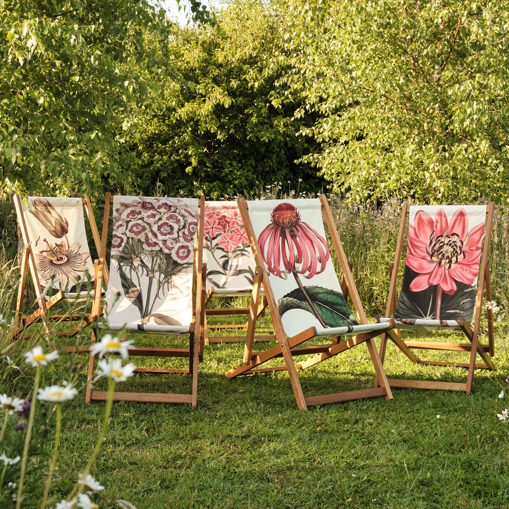 Oiled Birch Garden Deckchair Botanical Collection (7685965447361)