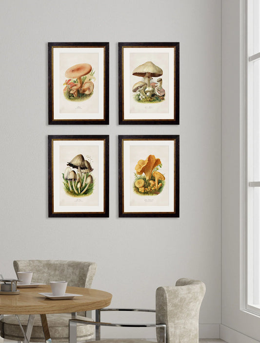 Edible Mushrooms c.1913 Framed Prints (7702923444417)
