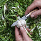 Opinel No.8 Garden Knife