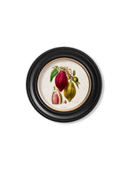 Chocolate Plant c.1843 Round Framed Print (7702935797953)