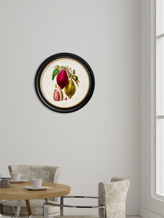 Chocolate Plant c.1843 Round Framed Print (7702935797953)