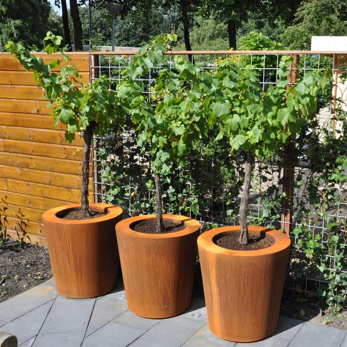 Adezz Corten Steel Conic Planter (7568296640705)