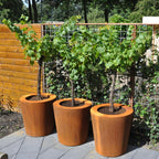 Adezz Corten Steel Conic Planter (7568296640705)