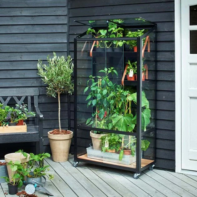 Juliana Patio Greenhouse