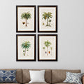 South American Palm Trees c.1843 Framed Prints (7702915350721)