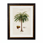 South American Palm Trees c.1843 Framed Prints (7702915350721)