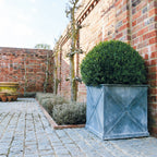 Mayfair Galvanised Steel Planter (10174939758785)