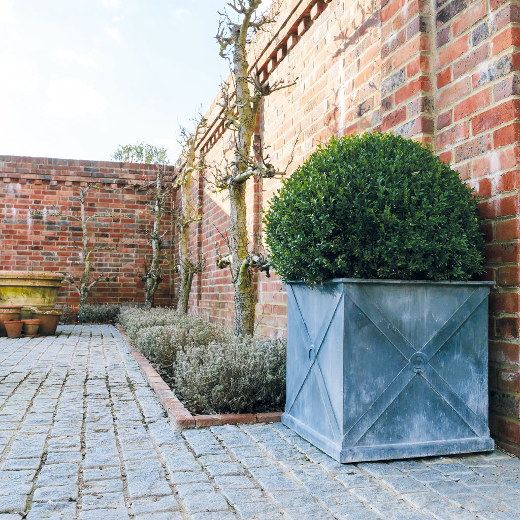 Mayfair Galvanised Steel Planter (10174939758785)