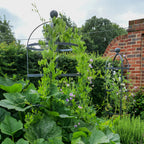 Round Galvanised Steel Obelisk Plant Support (10172707897537)