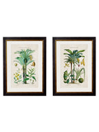 Collection of Tropical Plants Used as Food and Clothing c.1877 Framed Prints (7702933242049)