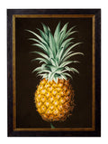 Pineapple Study (Black) c.1812 Framed Print (7702928163009)