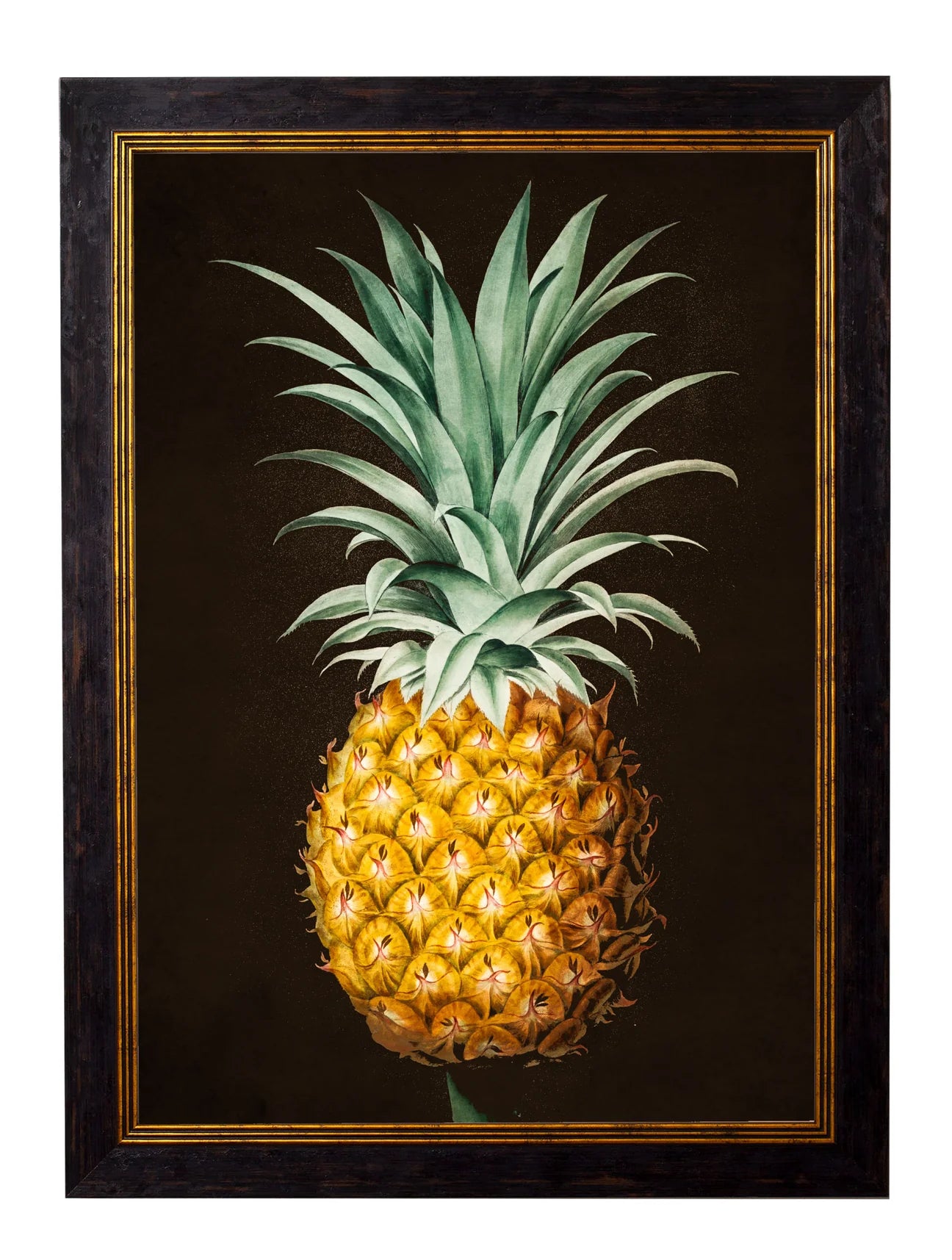 Pineapple Study (Black) c.1812 Framed Print (7702928163009)