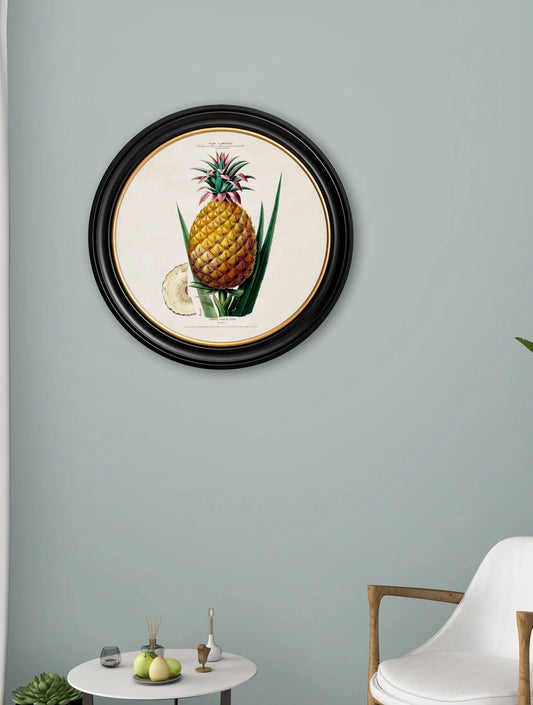 Pineapple Plant c.1831 Round Framed Print (7702943039681)