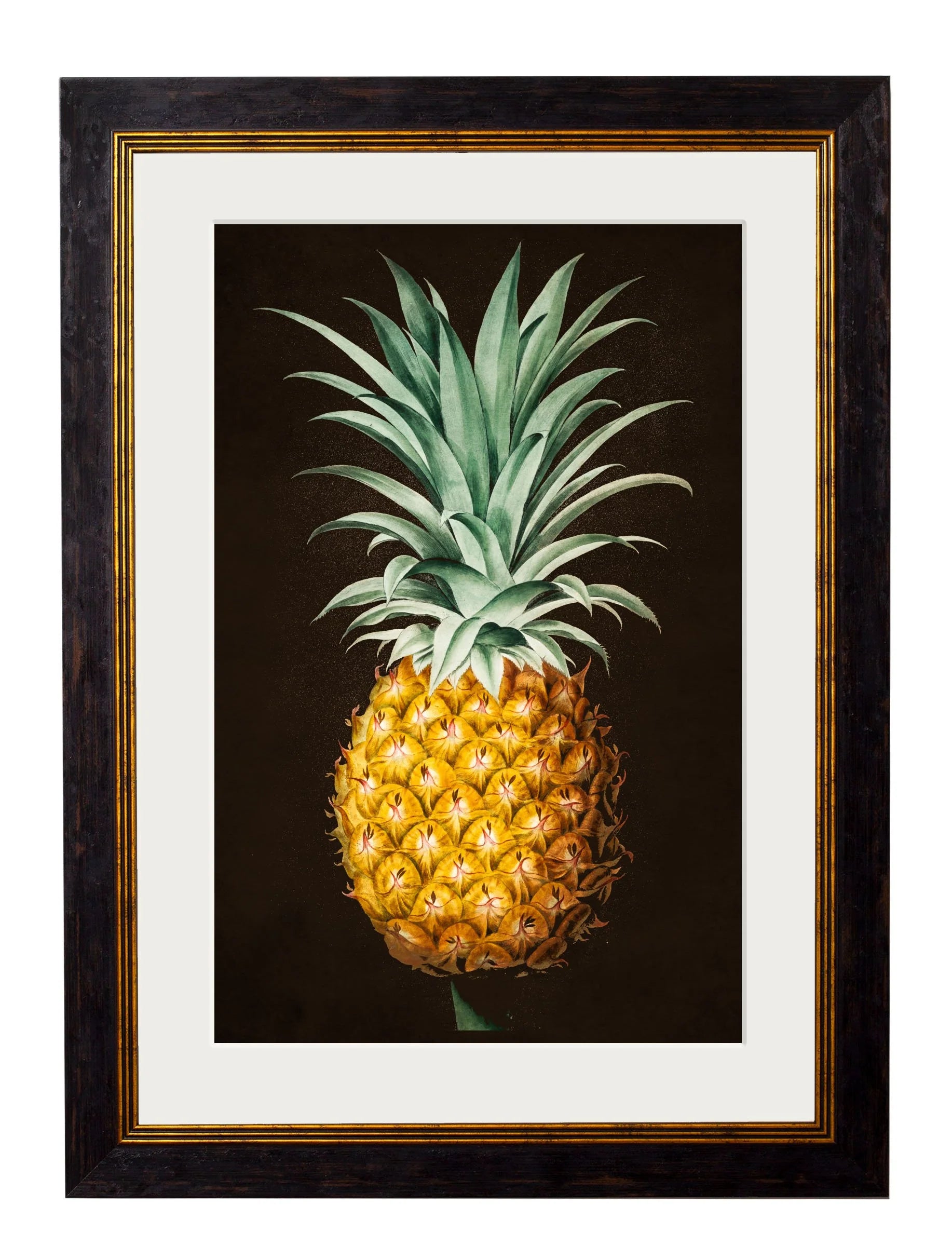 Pineapple Study (Black) c.1812 Framed Print (7702928163009)