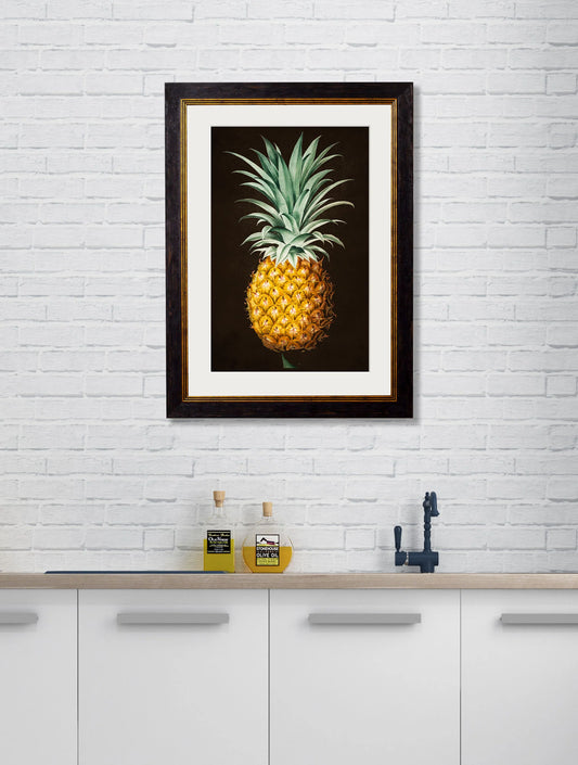 Pineapple Study (Black) c.1812 Framed Print