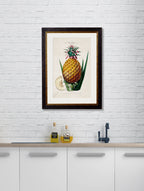 Pineapple Plant c.1831 Framed Print (7702926295233)