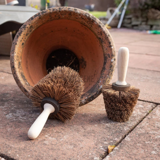 Nutscene Plant Pot Scrubbing Brush