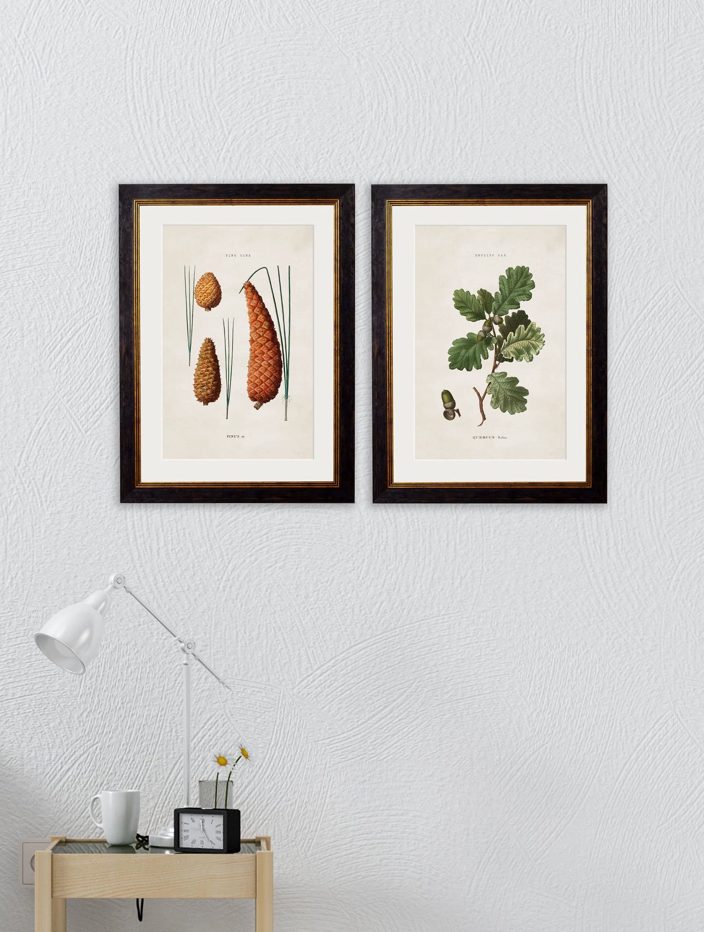 British Leaves and Pinecones c.1819 Framed Prints