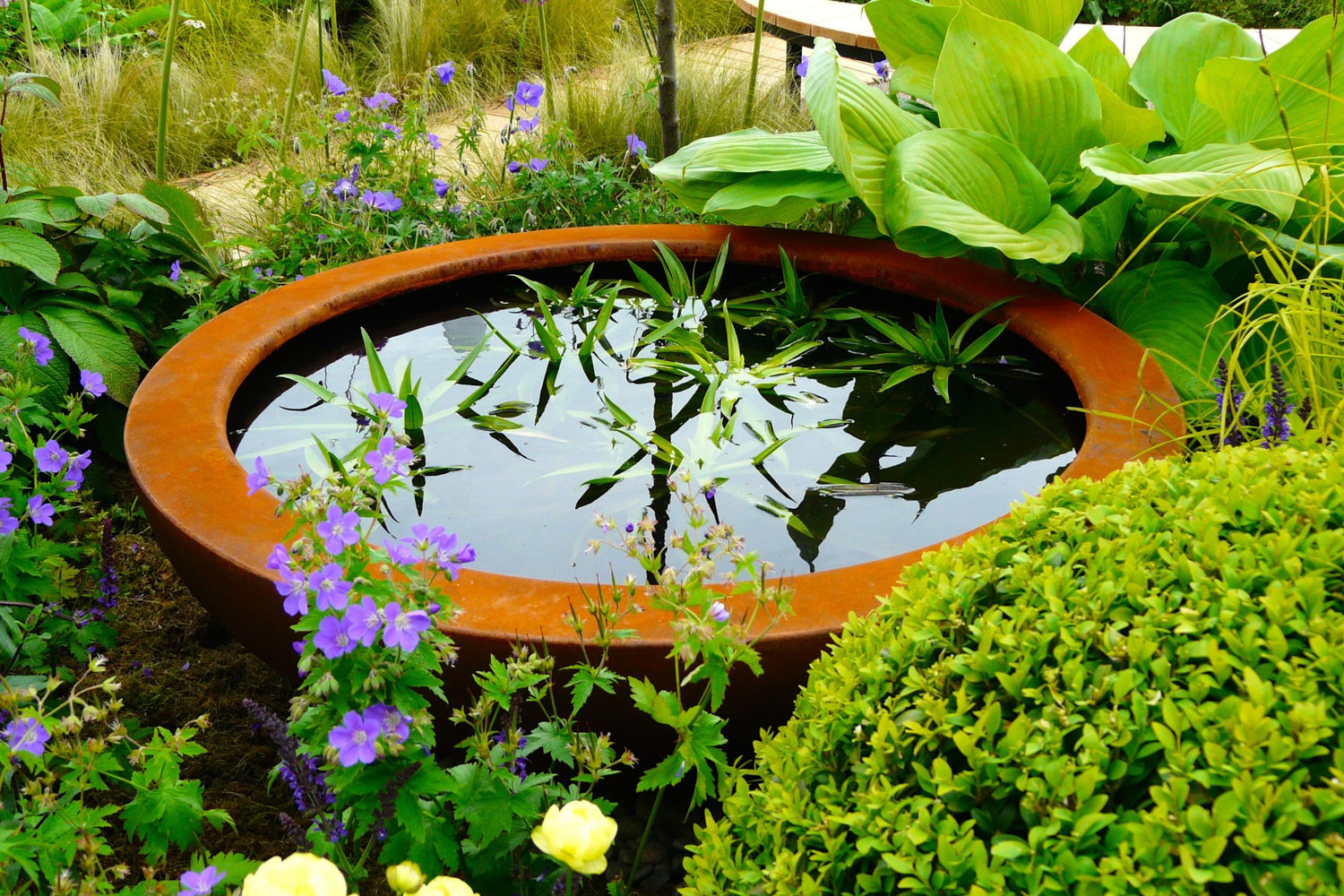 Calming Water Feature: A water bowl in a tranquil garden