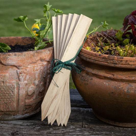 Nutscene Wooden Plant Labels with Pencil (7716846764225)